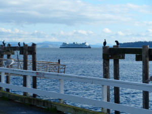 comorants and ferry off Sidney bc